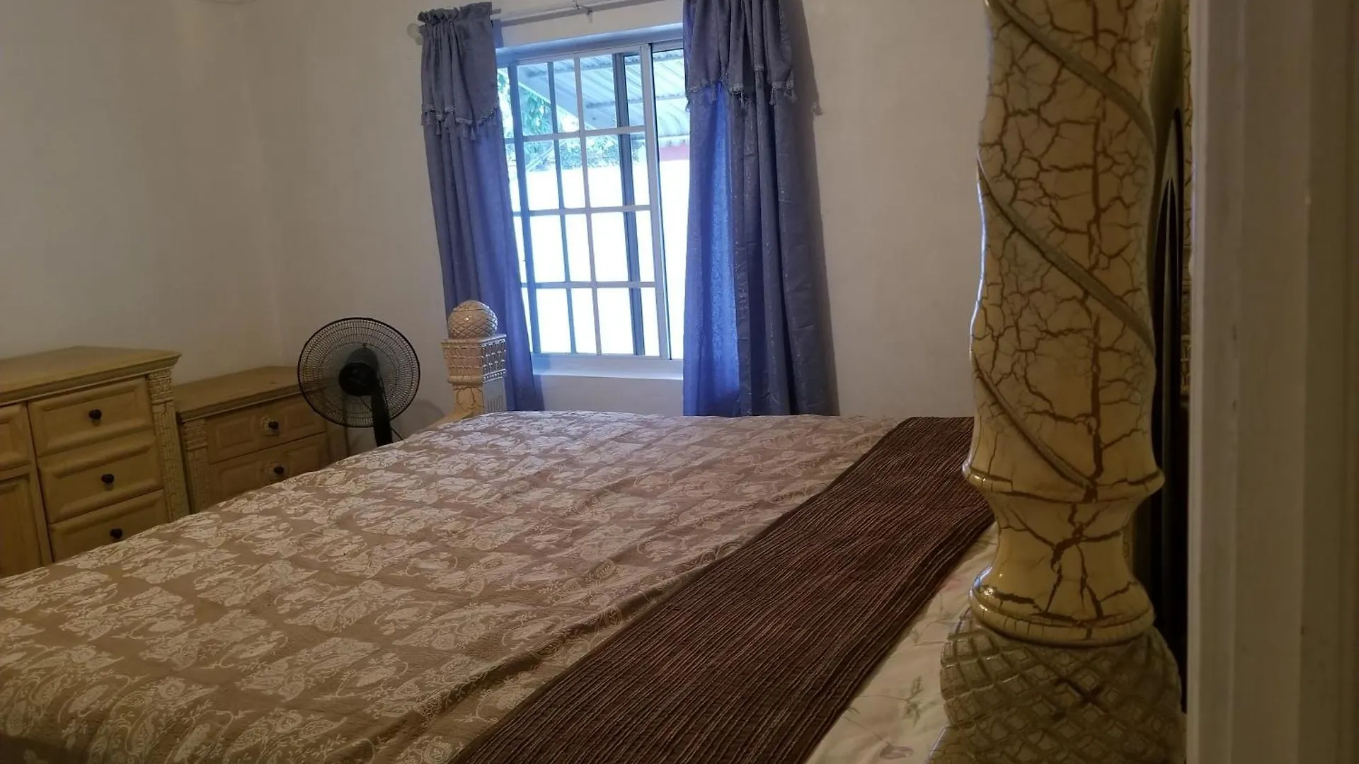 Diana Place Spanish Town Homestay
